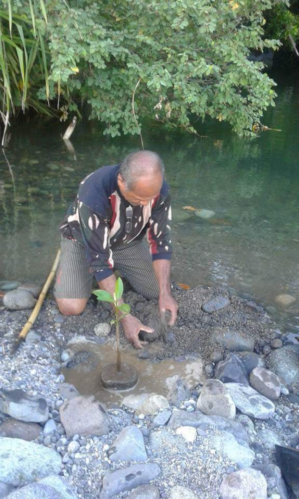 Indonesia_Karen_Campbell_Nelson_Rev_Sefnat_plants_seedling.png