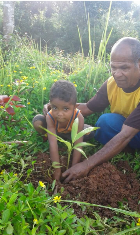 Indonesia_Karen_Campbell_Nelson_boy_w_Rev._Sefnat_plants_seedling.png