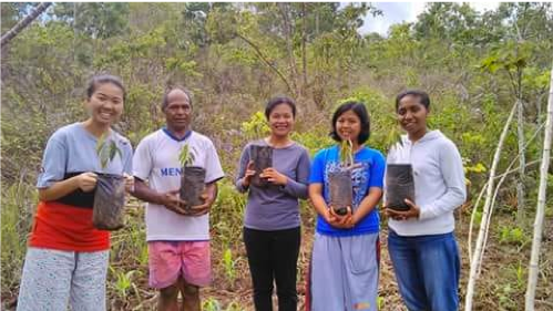 Indonesia_Karen_Campbell_Nelson_seedlings_for_the_church.png