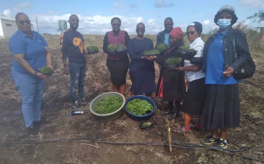 Pray with Eswatini, November 12, 2023 - Global Ministries